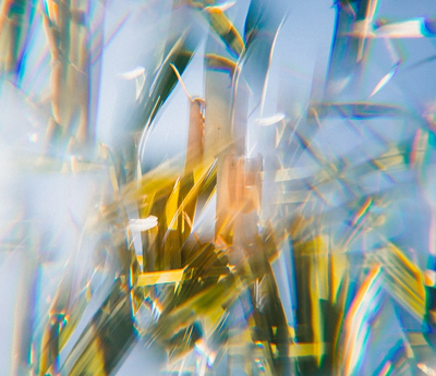 frame
